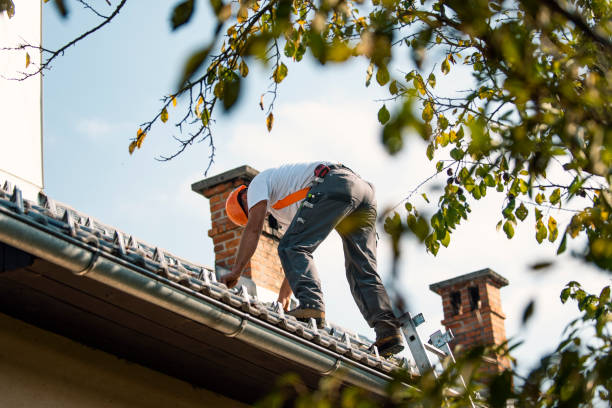 Best New Roof Installation  in King George, VA